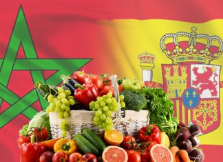 Exportations agricoles. Le Maroc premier fournisseur de l’Espagne en 2022
