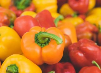 Production agricole. Le poivron marocain moins valorisé sur le marché européen