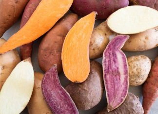 Patates douces. Les exportations marocaines atteignent d’importants sommets