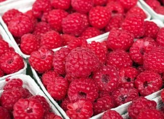 Framboises. Le Maroc éjecte les USA du top 3 des producteurs mondiaux