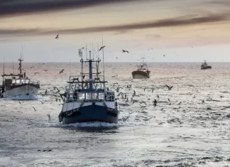 Accord de pêche. Luis Planas met une claque au polisario