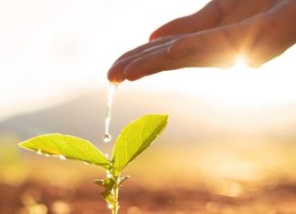 Agritech. Le Groupe OCP et l’UM6P se mobilisent pour les startups