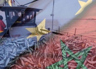 Accord de pêche avec l’UE. Le Maroc prêt à tout scénario