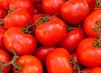 Tomates. Le Maroc se hisse au 3e rang des exportateurs dans le monde