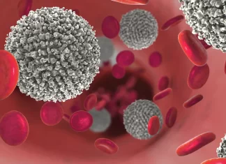 Leucémie. Moldiag lance le premier test 100% marocain de diagnostic