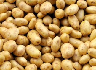 Pommes de terre. Une baisse des prix se profile à l’horizon