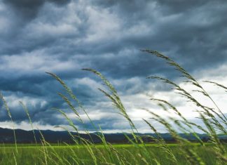 Météo. Alerte orange dans plusieurs provinces !