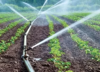 Irrigation localisée. 44% de l’objectif national de 2030 atteint