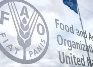 Le Maroc élu vice-président de la 173è session du Conseil de la FAO