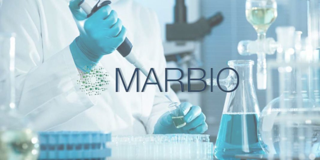 Marbio