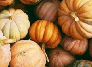 Citrouilles. Le Maroc dans le top 3 des fournisseurs du Royaume-Uni