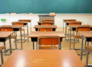 Enseignement. Déploiement du projet « Écoles pionnières »