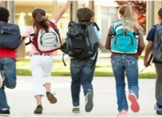 Orientation scolaire. Le Conseil supérieur de l’Education plaide pour la mise en place d’un système efficient