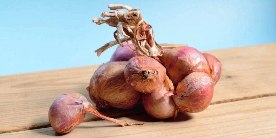 onions