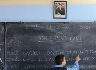 Enseignement primaire. Généralisation progressive de l’Amazighe dès la prochaine rentrée