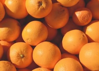 Agrumes. La production marocaine se maintient à un niveau satisfaisant