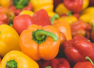 Les exportations de poivrons marocains fleurissent en Europe