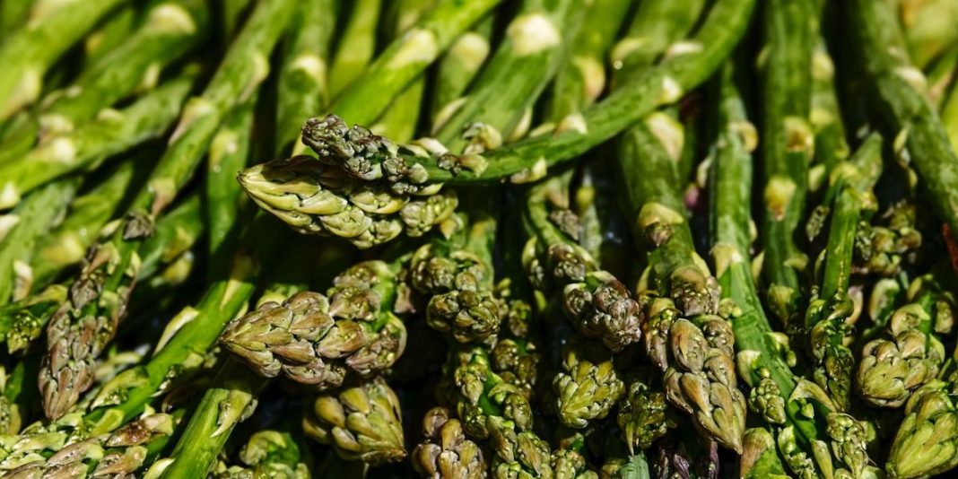 Asperges