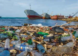 Région MENA. Chère, la facture annuelle de la pollution plastique !