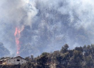 Feux de forêt en Algérie: le Maroc présente ses sincères condoléances