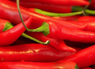 Piments. Le Maroc maintient sa production sur le marché mondial