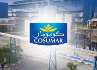 Campagne sucrière 2024/2025: Cosumar double les superficies cultivées