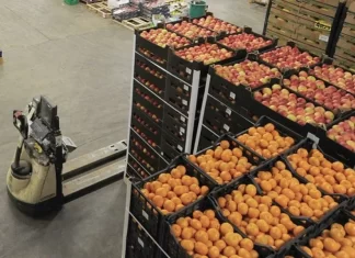 Exportations agricoles: la dynamique se poursuit malgré la conjoncture