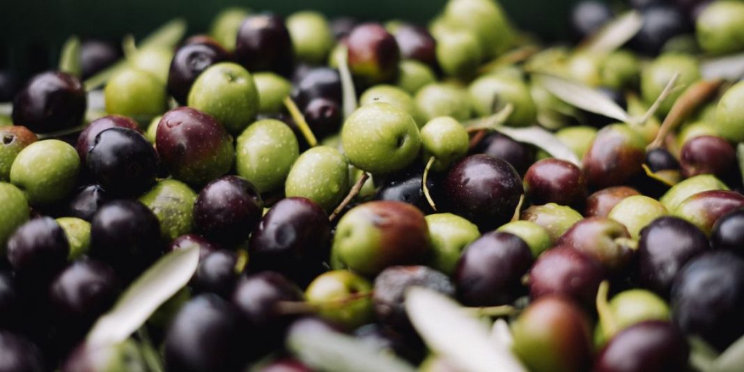 Olives
