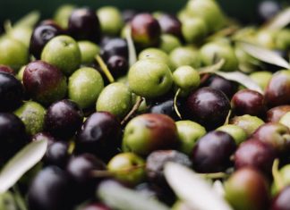 Le Maroc limite les exportations d’olives et d’huile d’olive