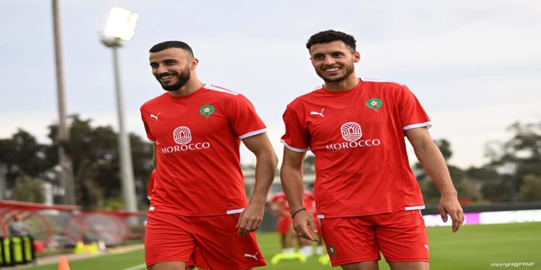 lions de l'atlas