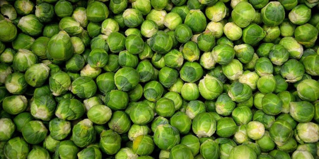 Choux de Bruxelles