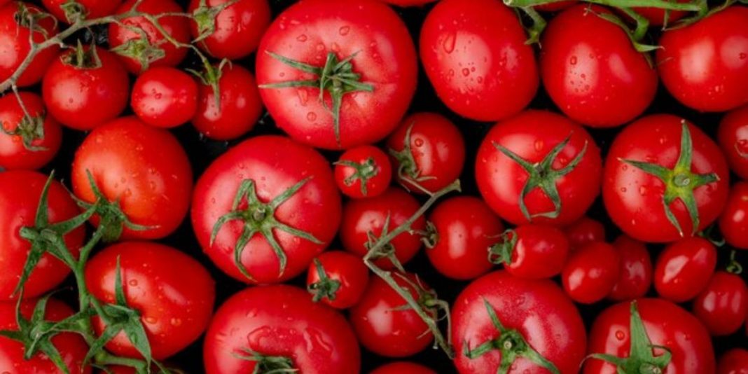 Tomates (2)