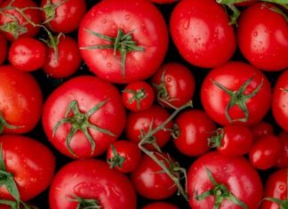 La tomate marocaine a toujours la cote en Espagne