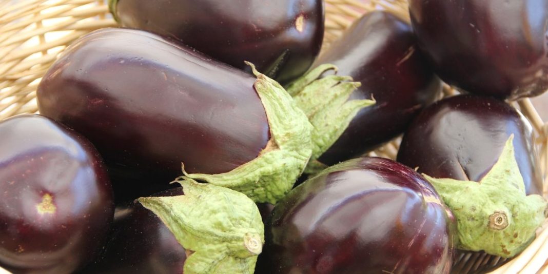 aubergines