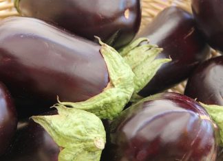 Aubergines: record des exportations marocaines vers l’Espagne