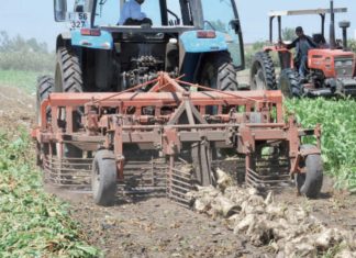 Filière sucrière: les agriculteurs obtiennent un nouvel appui financier du gouvernement