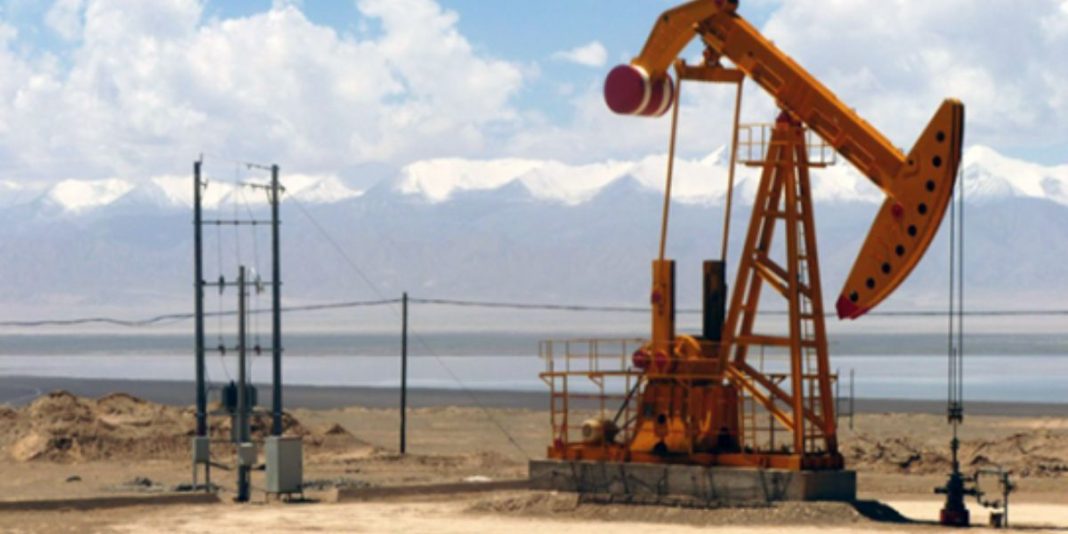 Predator Gas & Oil Morocco