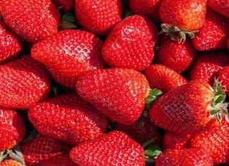Fraises marocaines: le ministère dément les dernières rumeurs