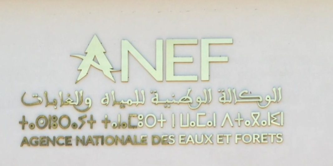 ANEF (1)