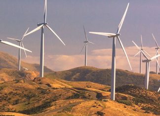 25 ans de règne. Le développement des énergies renouvelables