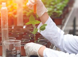 25 ans de règne. Agriculture biologique: une ambition nationale en marche
