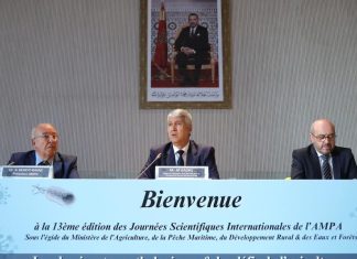 Rabat: les défis de l’aviculture au centre des débats