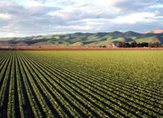 Technologies agricoles: le Maroc forme des cadres des Caraïbes