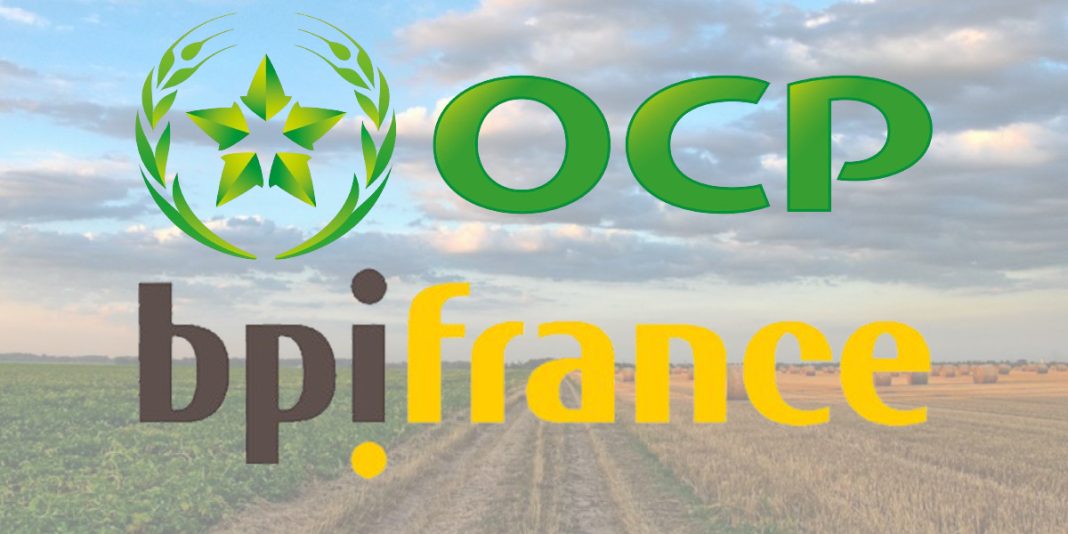 OCP Bpifrance