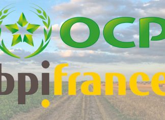 OCP-Bpifrance-AFD: 50 millions d’euros pour soutenir l’innovation verte en Afrique