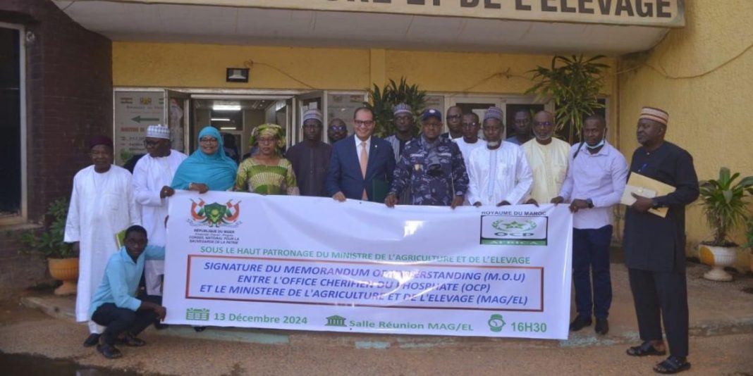 OCP Niger