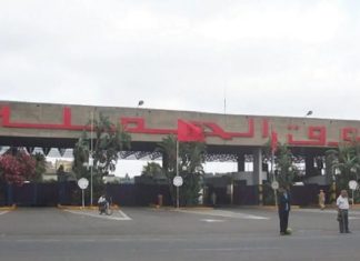 Marché de gros de Casablanca: une année 2024 record, 177 millions de DH de recettes