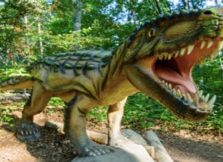 Dino Parc à Azilal: l’appel à manifestation d’intérêt lancé