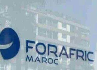 Agroalimentaire: Forafric recentre ses activités sur le Maroc