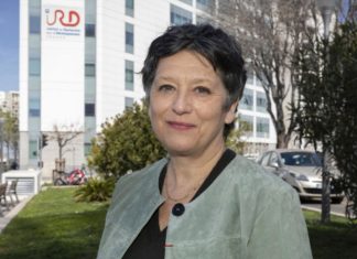 Maroc-France: la PDG de l’IRD, Valérie Verdier, attendue au Maroc